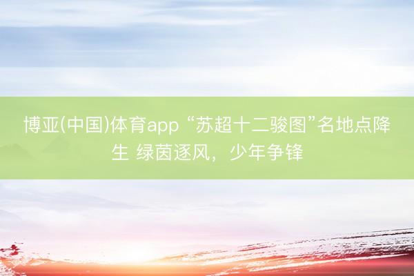 博亚(中国)体育app “苏超十二骏图”名地点降生 绿茵逐风，少年争锋