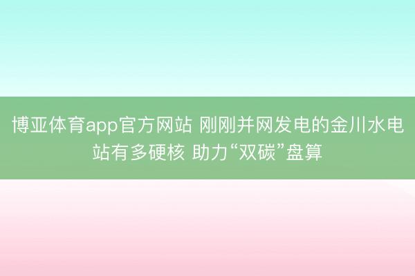 博亚体育app官方网站 刚刚并网发电的金川水电站有多硬核 助力“双碳”盘算