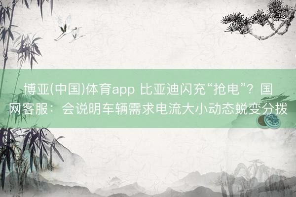 博亚(中国)体育app 比亚迪闪充“抢电”？国网客服：会说明车辆需求电流大小动态蜕变分拨