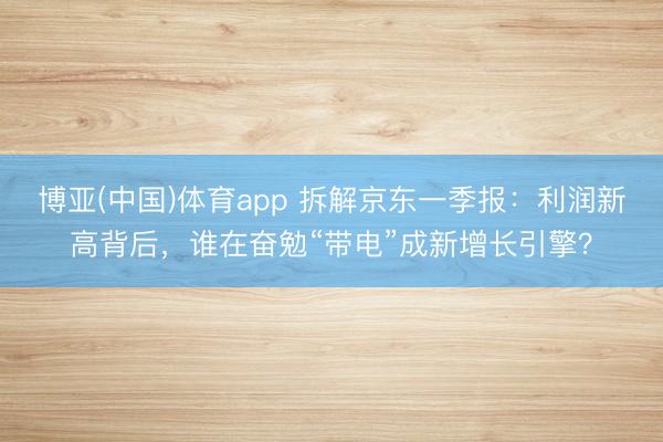 博亚(中国)体育app 拆解京东一季报：利润新高背后，谁在奋勉“带电”成新增长引擎？