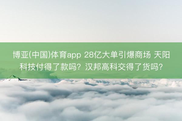 博亚(中国)体育app 28亿大单引爆商场 天阳科技付得了款吗？汉邦高科交得了货吗？