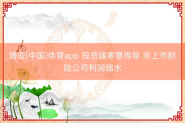 博亚(中国)体育app 投资端寒意传导 非上市财险公司利润缩水