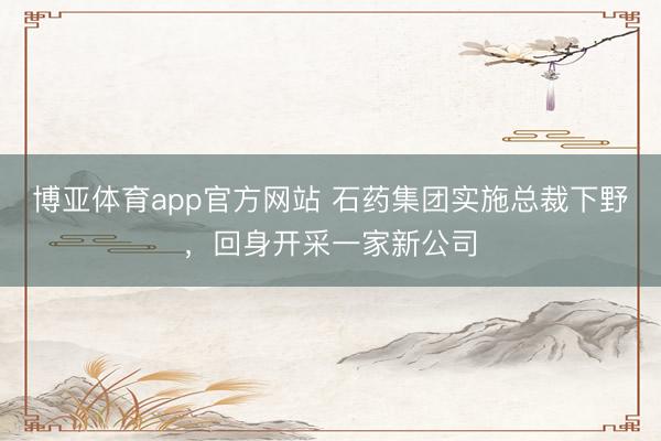 博亚体育app官方网站 石药集团实施总裁下野，回身开采一家新公司