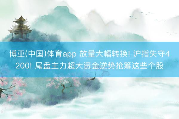 博亚(中国)体育app 放量大幅转换! 沪指失守4200! 尾盘主力超大资金逆势抢筹这些个股