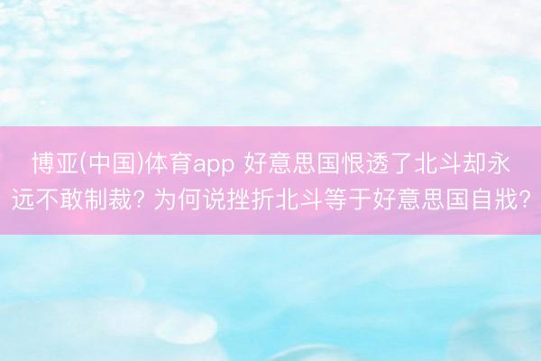 博亚(中国)体育app 好意思国恨透了北斗却永远不敢制裁? 为何说挫折北斗等于好意思国自戕?