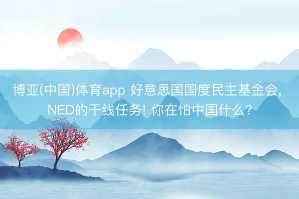 博亚(中国)体育app 好意思国国度民主基金会， NED的干线任务! 你在怕中国什么?