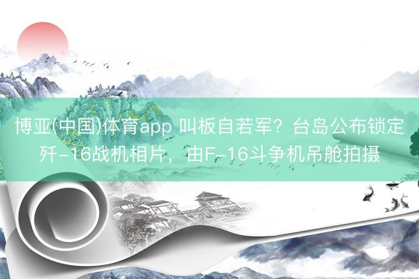 博亚(中国)体育app 叫板自若军？台岛公布锁定歼-16战机相片，由F-16斗争机吊舱拍摄