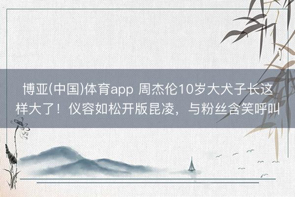 博亚(中国)体育app 周杰伦10岁大犬子长这样大了!仪容如松开版昆凌,与粉丝含笑呼叫