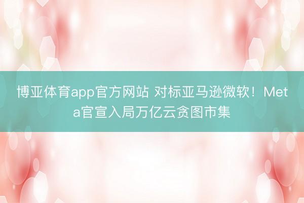 博亚体育app官方网站 对标亚马逊微软！Meta官宣入局万亿云贪图市集