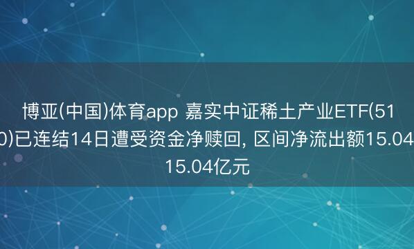 博亚(中国)体育app 嘉实中证稀土产业ETF(516150)已连结14日遭受资金净赎回， 区间净流出额15.04亿元