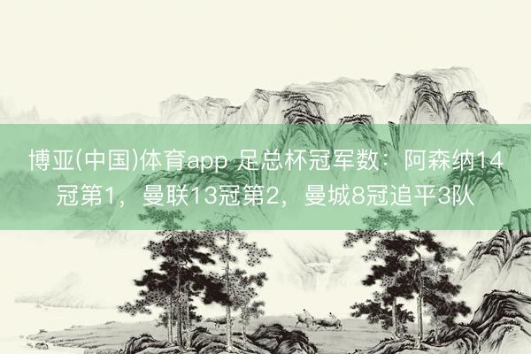 博亚(中国)体育app 足总杯冠军数：阿森纳14冠第1，曼联13冠第2，曼城8冠追平3队