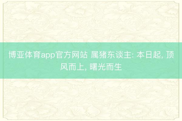 博亚体育app官方网站 属猪东谈主: 本日起， 顶风而上， 曙光而生