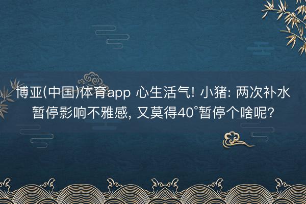 博亚(中国)体育app 心生活气! 小猪: 两次补水暂停影响不雅感， 又莫得40°暂停个啥呢?