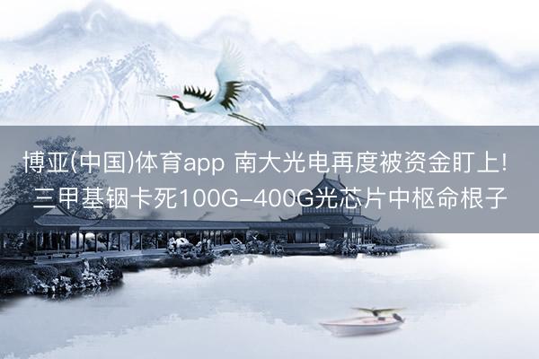 博亚(中国)体育app 南大光电再度被资金盯上! 三甲基铟卡死100G-400G光芯片中枢命根子