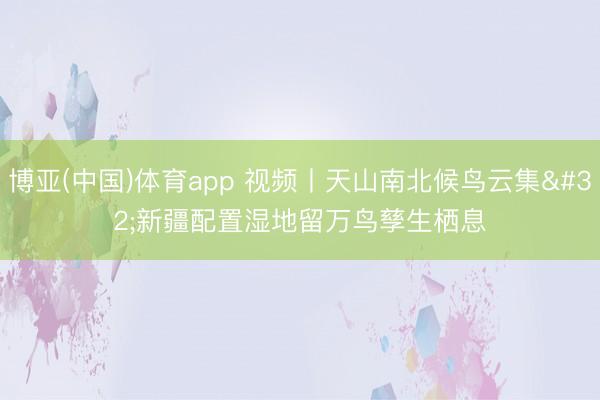 博亚(中国)体育app 视频丨天山南北候鸟云集 新疆配置湿地留万鸟孳生栖息