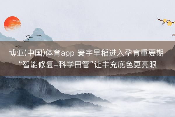 博亚(中国)体育app 寰宇早稻进入孕育重要期 “智能修复+科学田管”让丰充底色更亮眼